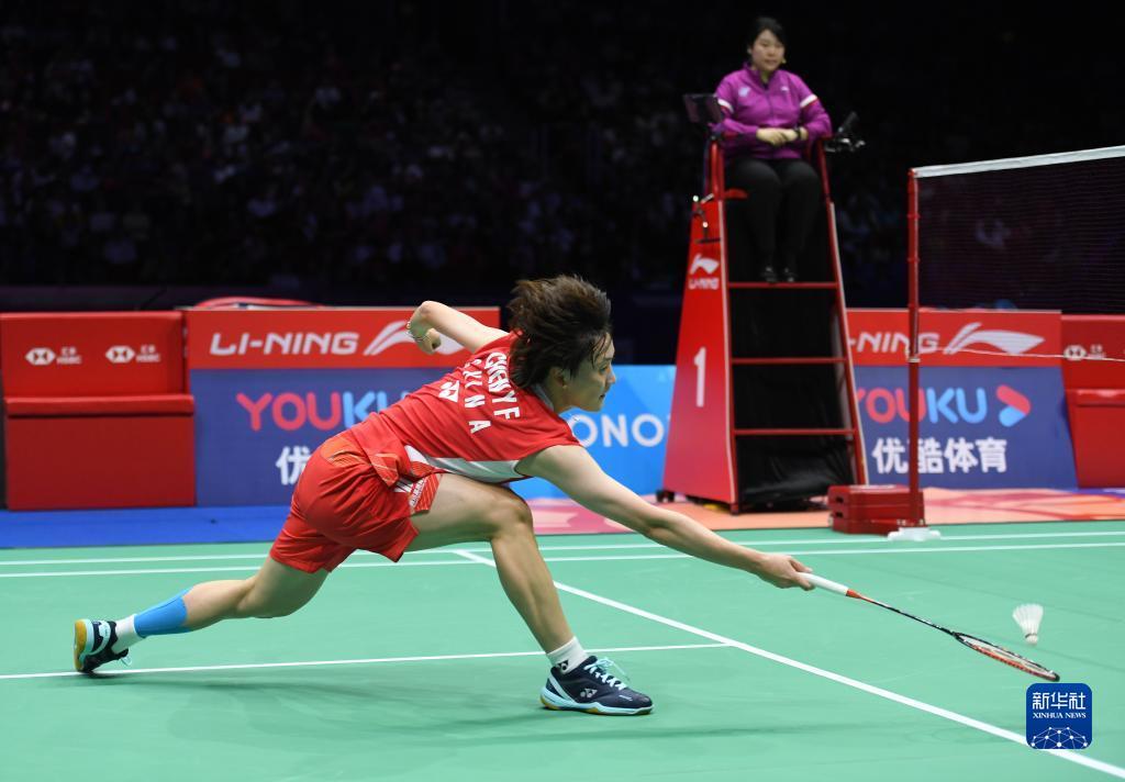 涉足柔術的 涉足柔術的