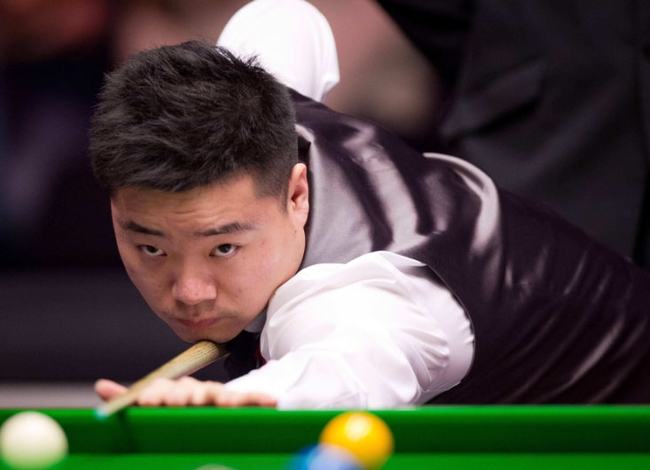 提供了有力 提供了有力