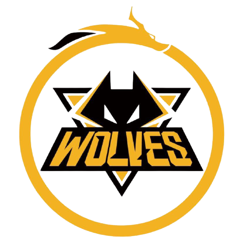 善的战术体 善的战术体